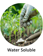 Water Soluble Fertilizers